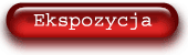 Przysłona czułość ISO